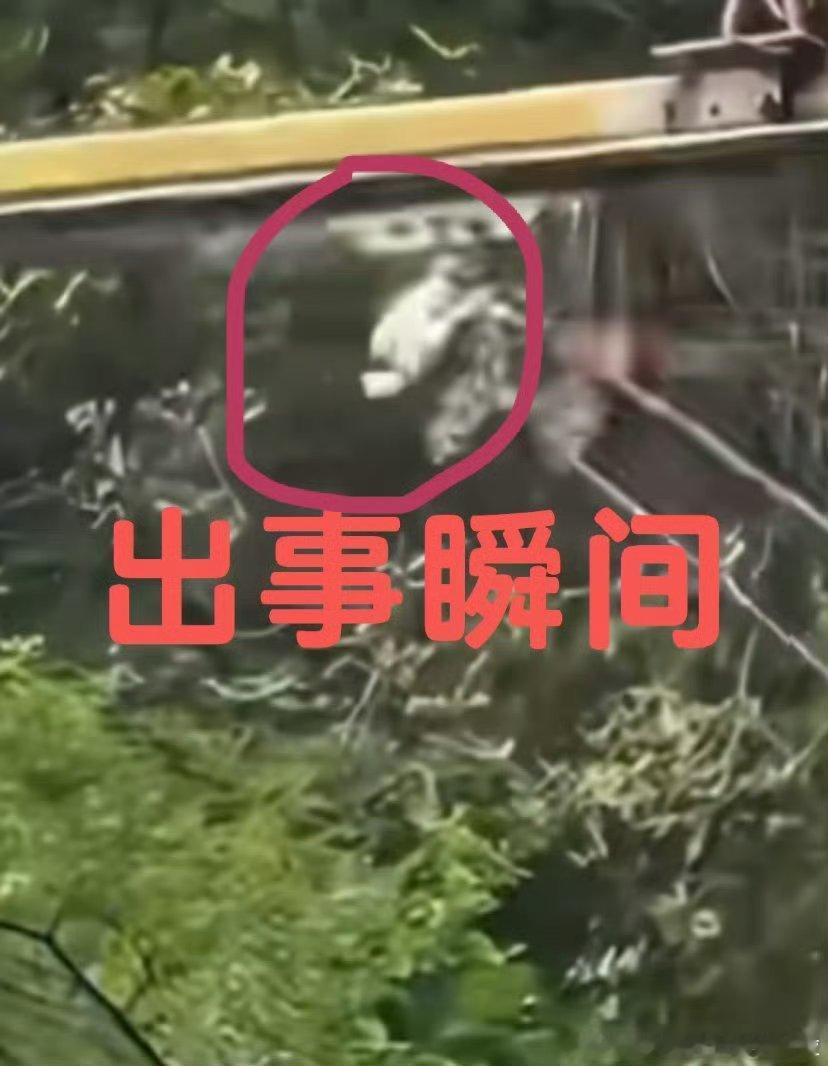 女游客秋千坠亡家属已和解16岁的女孩子，家人如此快速达成和解……看来数字满意了 