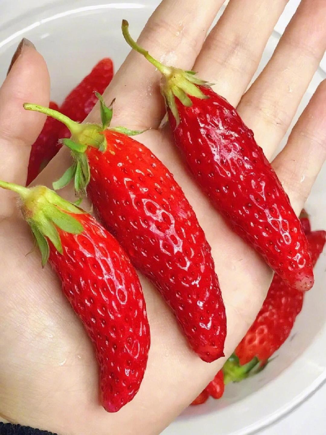 爱吃草莓和爱吃辣椒的都沉默了  爱吃草莓和爱吃辣椒的都沉默了 