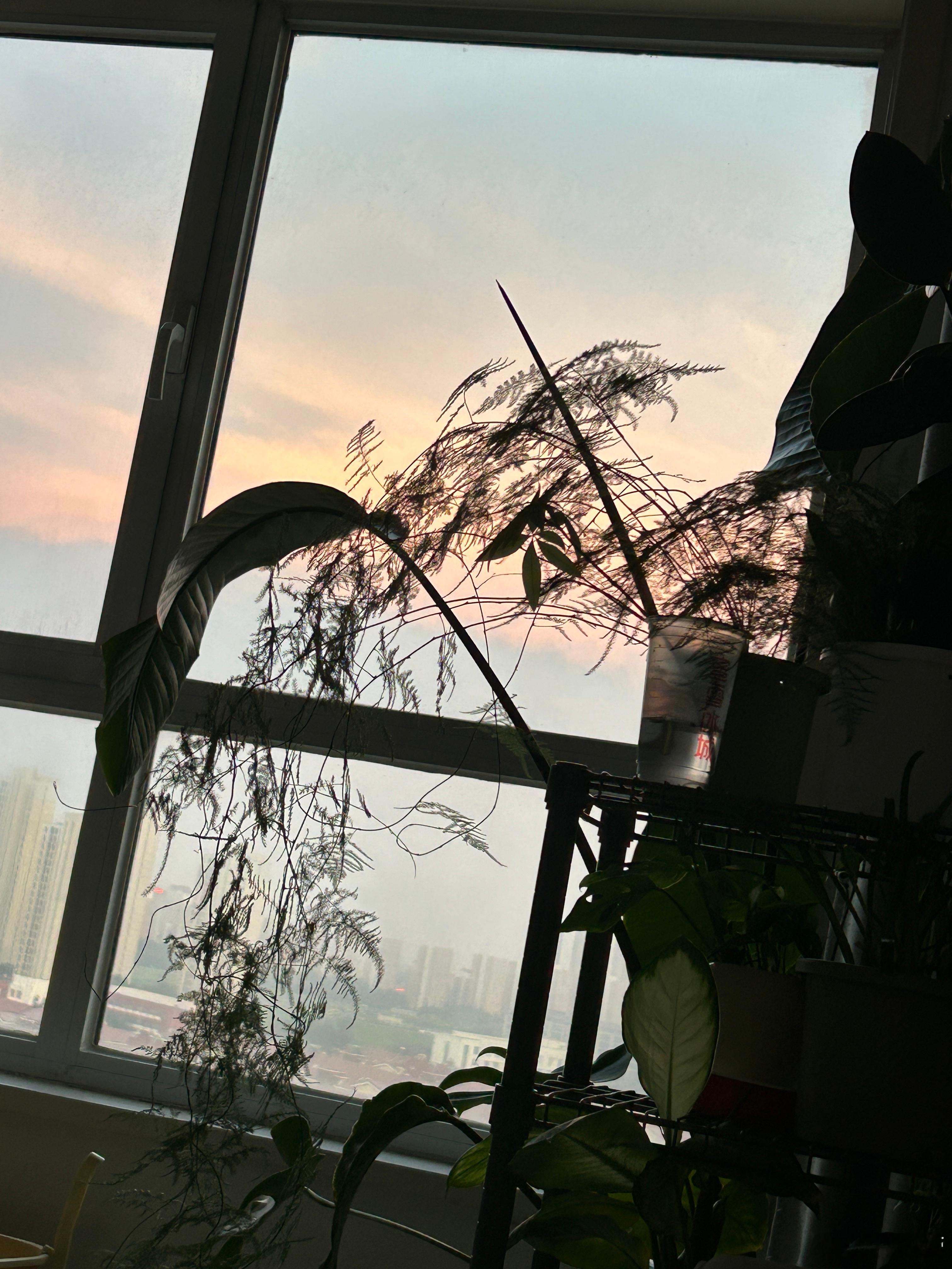傍晚的天空好美呀～ 