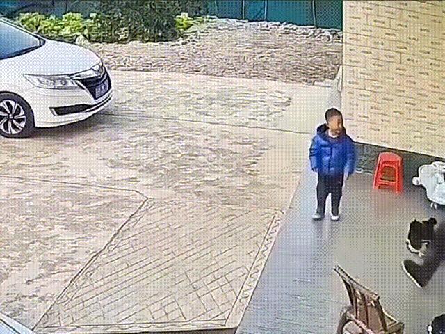 到底是什么样的家庭，才能教育出这种小孩？
