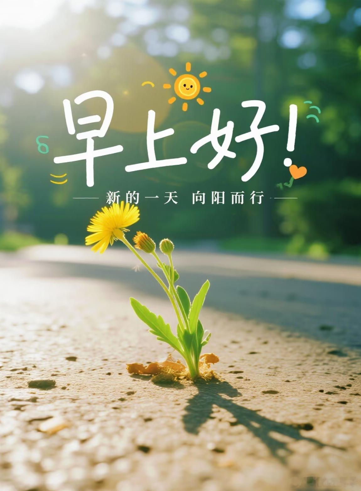 早上好，今天开学了我的心情很好[爱慕] ​​​