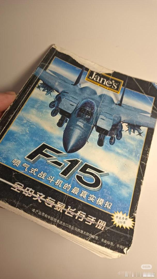 1998年，EA簡式出品的空戰模擬系列遊戲曾經非常流行，在國內也能買到正規引進代
