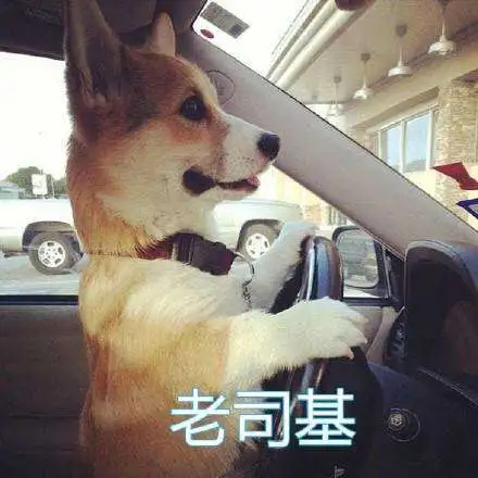 【#新一代智驾感知系统完成测试#】近日，中国科学院上海微系统与信息技术研究所仿生