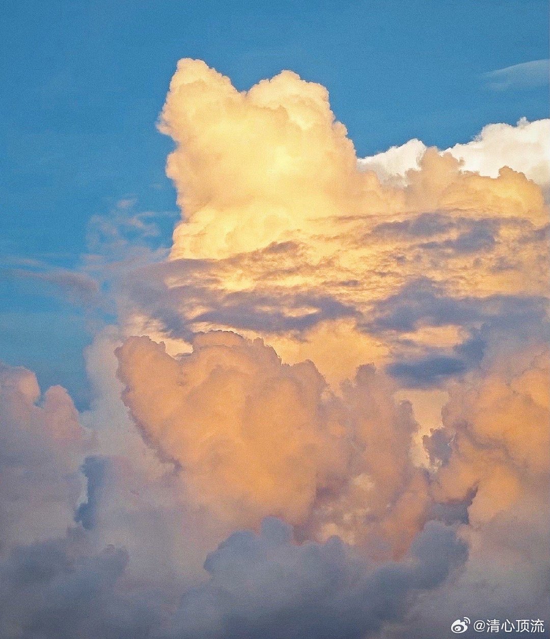 有一种叫云南的云这个季节去云南旅行，简直就是一场与美的邂逅。清新的空气、湛蓝的天