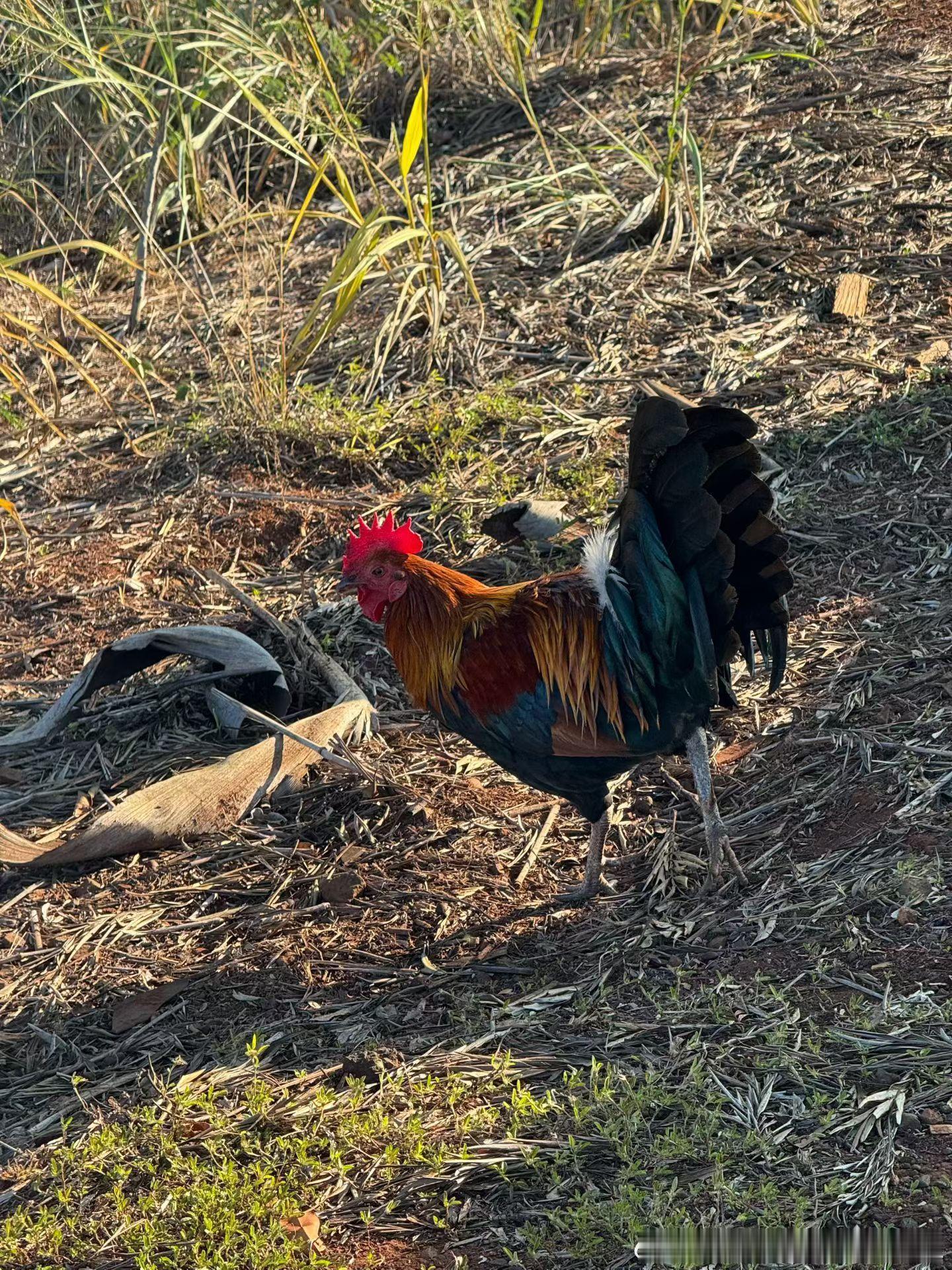美国加州儿童生日聚会大规模枪击美国真心是天堂和地狱的混合体开开心心过partyp