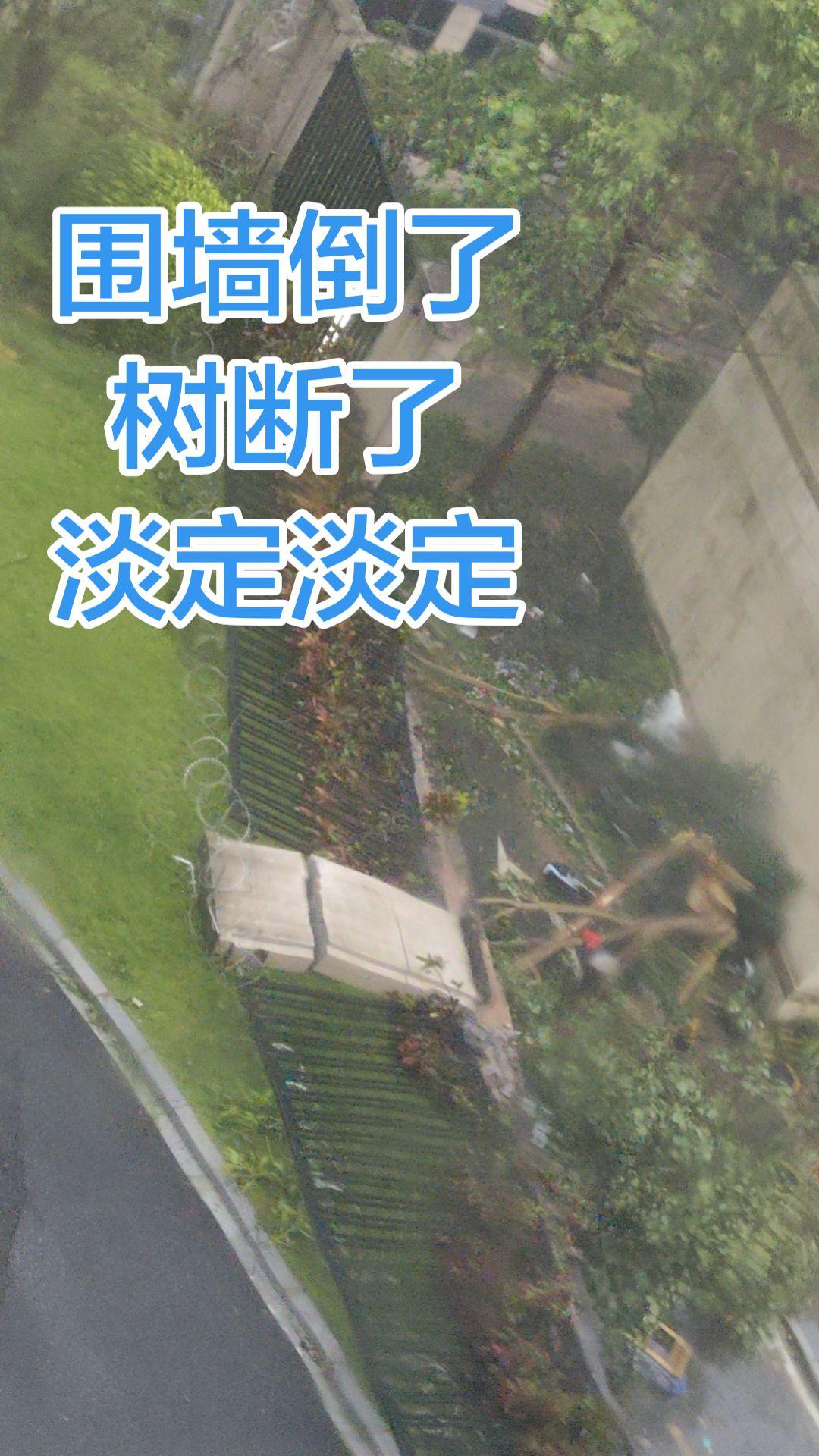 台风过境！小区树木被吹倒