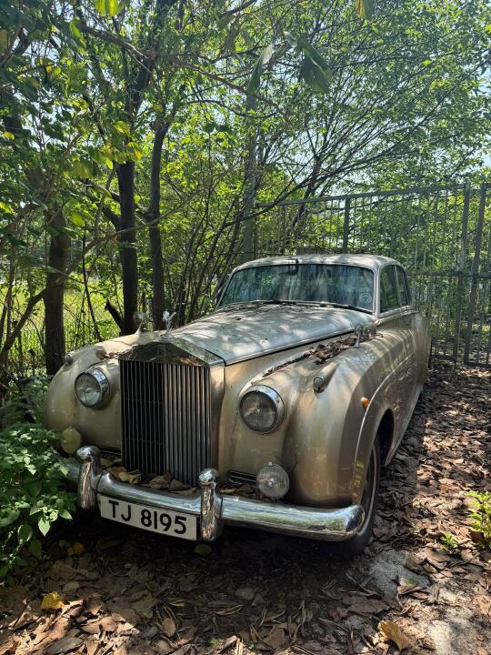 遗留在山林里的老银云