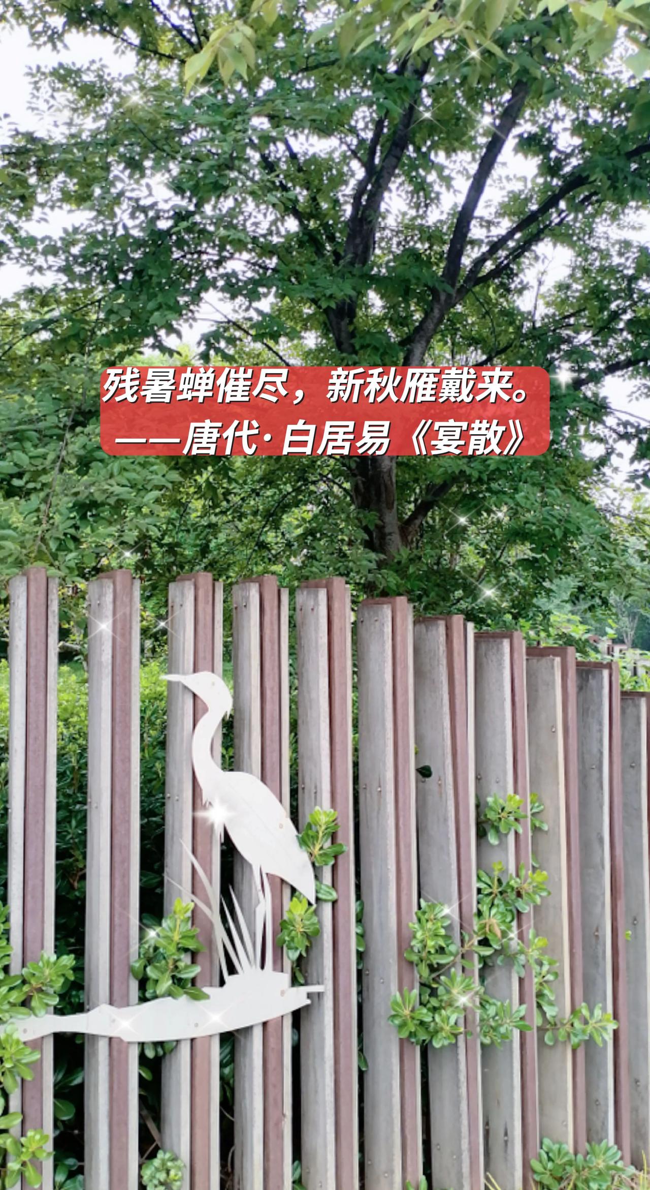 夏去秋来