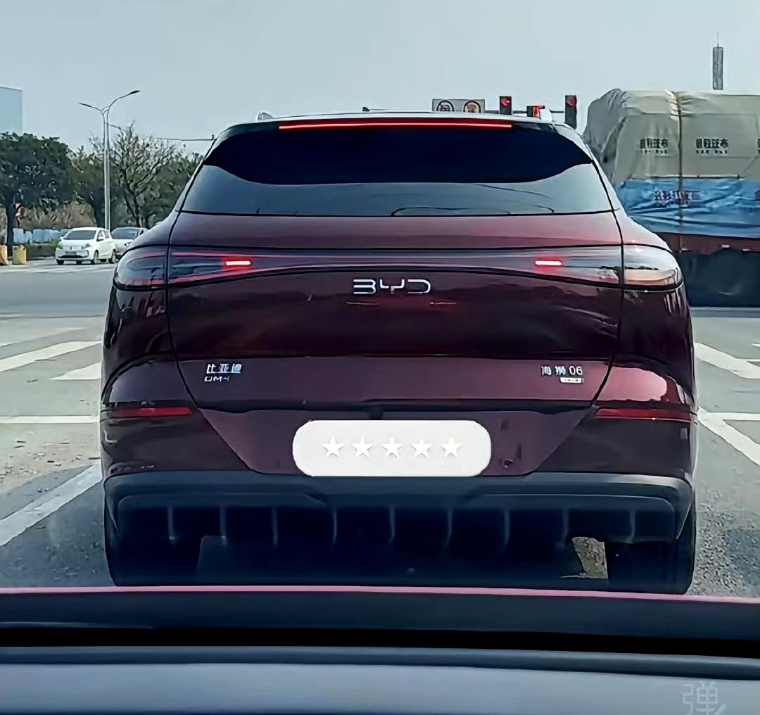 网友：油价涨了又涨，下一轮调整可能还会涨，偏偏又遇到这样的电动车主，太气人了。。