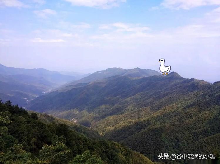 烟草、石油、电力这些巨头，以前赚100块，
交20块上去就行。
现在，一张新规下