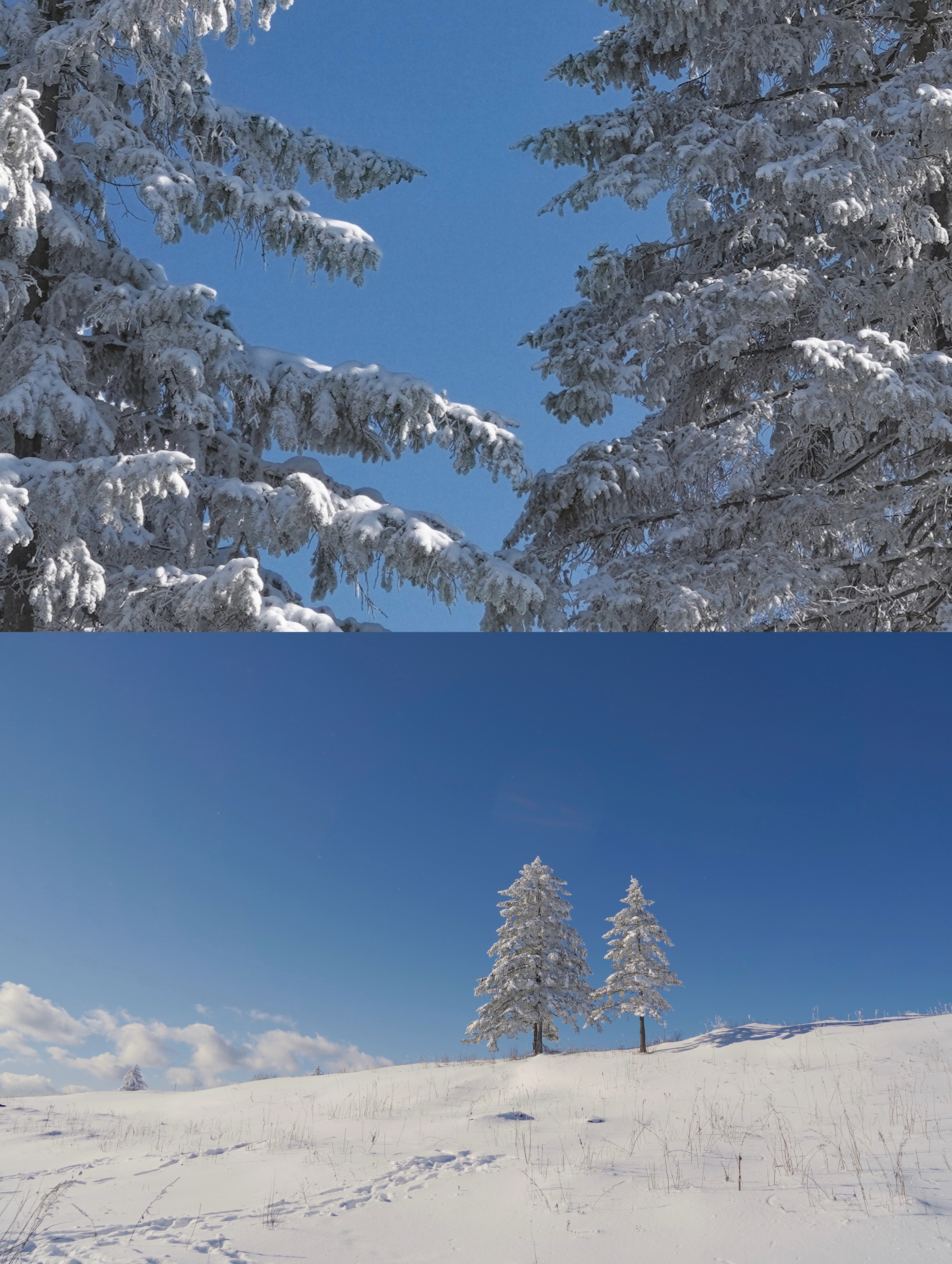 每个人都是可以下雪的 ​​​