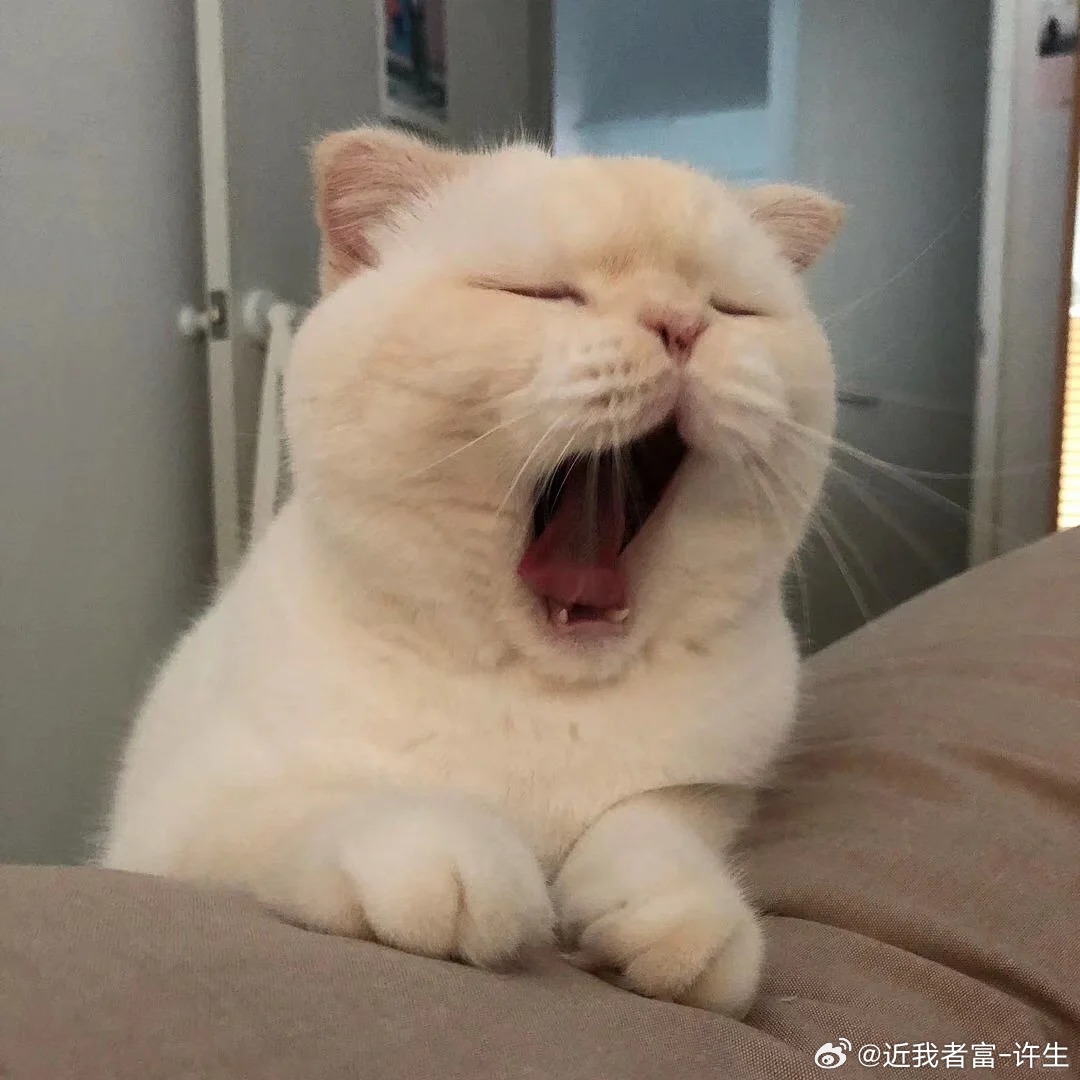 一觉起来，行情起飞了，很多时候单子只是看咋们想吃多少，给兄弟指明的路没问题，我从