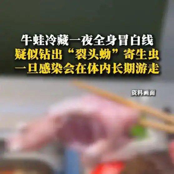 《牛蛙冷藏一夜全身冒白线，疑似钻出“裂头蚴”寄生虫》牛蛙冷藏一夜全身冒白线，疑似