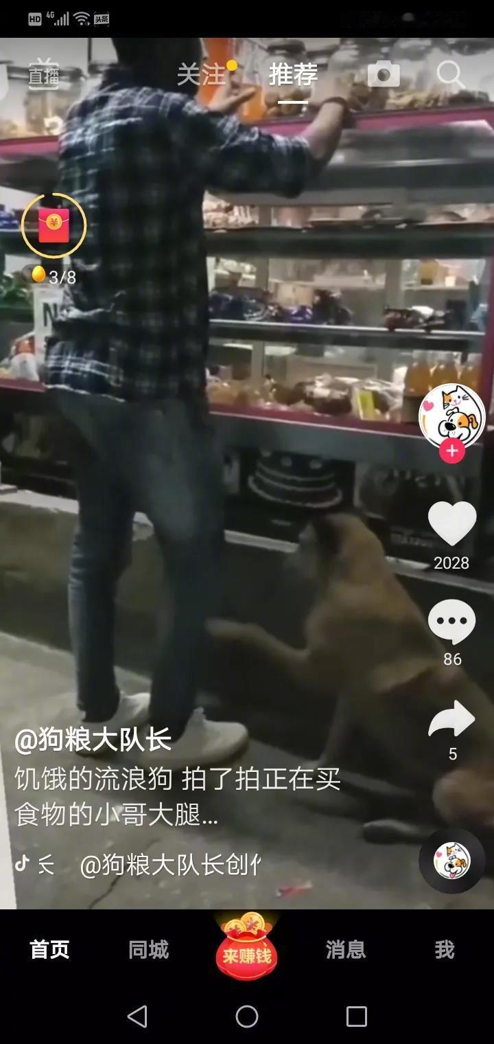 饥饿的流浪狗看到正在买食物的男子，轻轻拍了拍男子的腿，男子毫不犹豫的给流浪狗买了