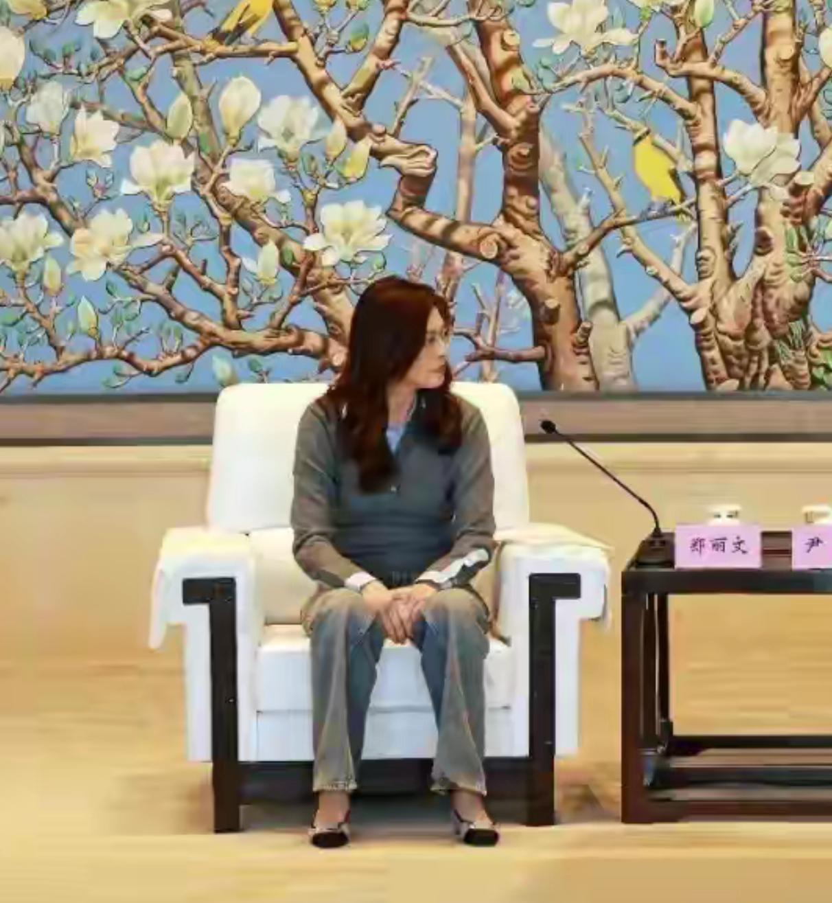 通水通电通桥！郑丽文访陆收官，大陆送台湾10项“硬福利”太实在
 
郑丽文这次来