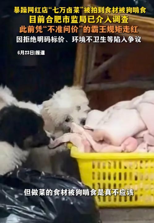 合肥七万卤菜彻底凉了！靠暴躁规矩爆红，如今食材被狗啃遭监管严查。
 
曾经在短视