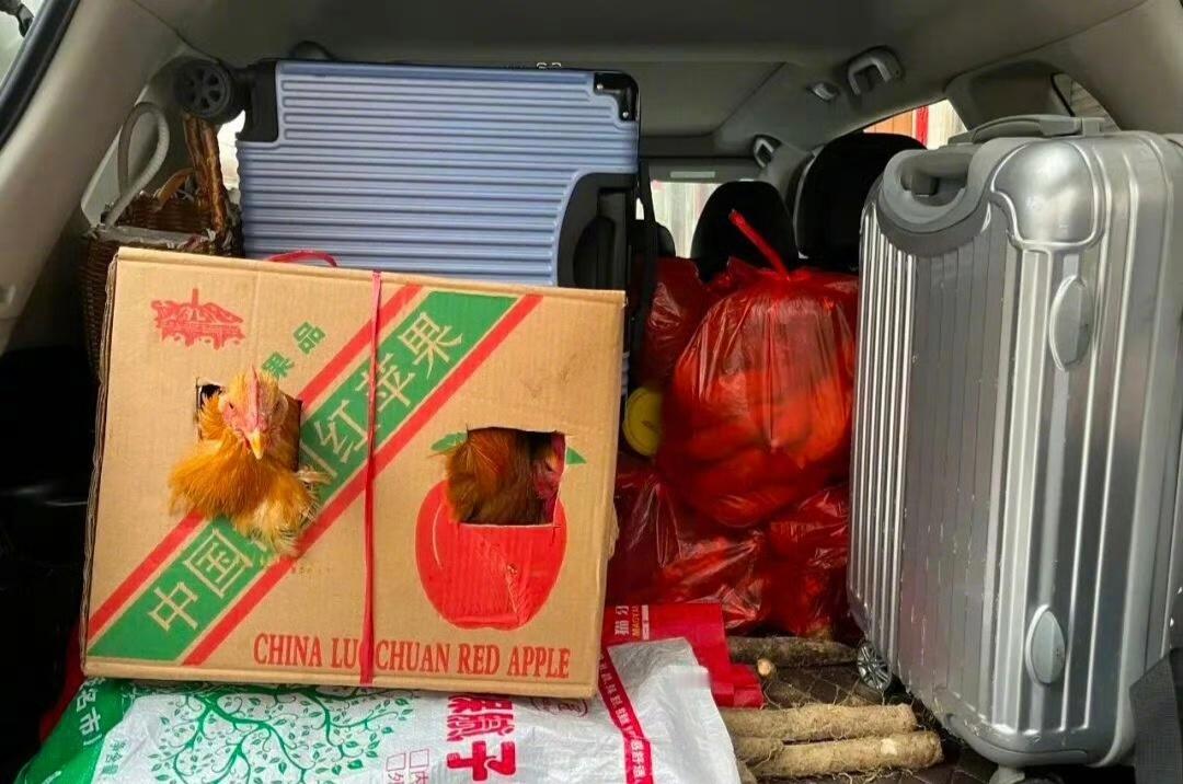 塞满的是后备箱温暖的是游子心返程的后备箱直接被爸妈塞成移动杂货铺！新鲜蔬菜、活鸡