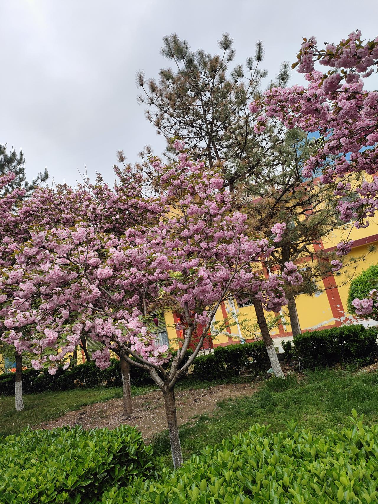 不要替人做决定，成了不一定有功，败了一定有错
 
生活里总免不了遇到这样的事：亲