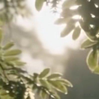 生活手记 人生路上，要学会善待，善待他人，可以让人生走得更远；善待自己，可以让生
