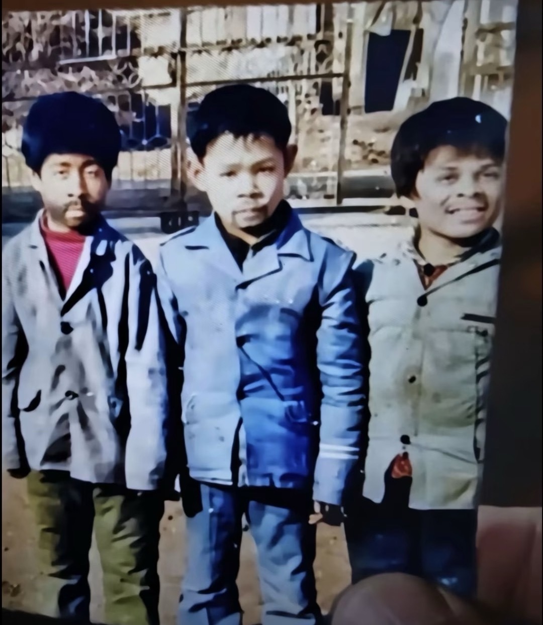 哈哈哈哈笑吐了 