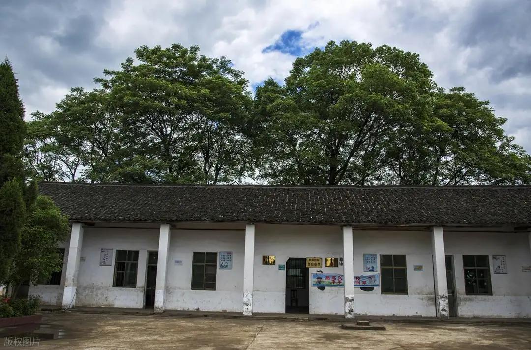 也不知道那里出现了问题，还是怀念以前的小学，现实农村的很多的小学都倒闭了，杂草丛
