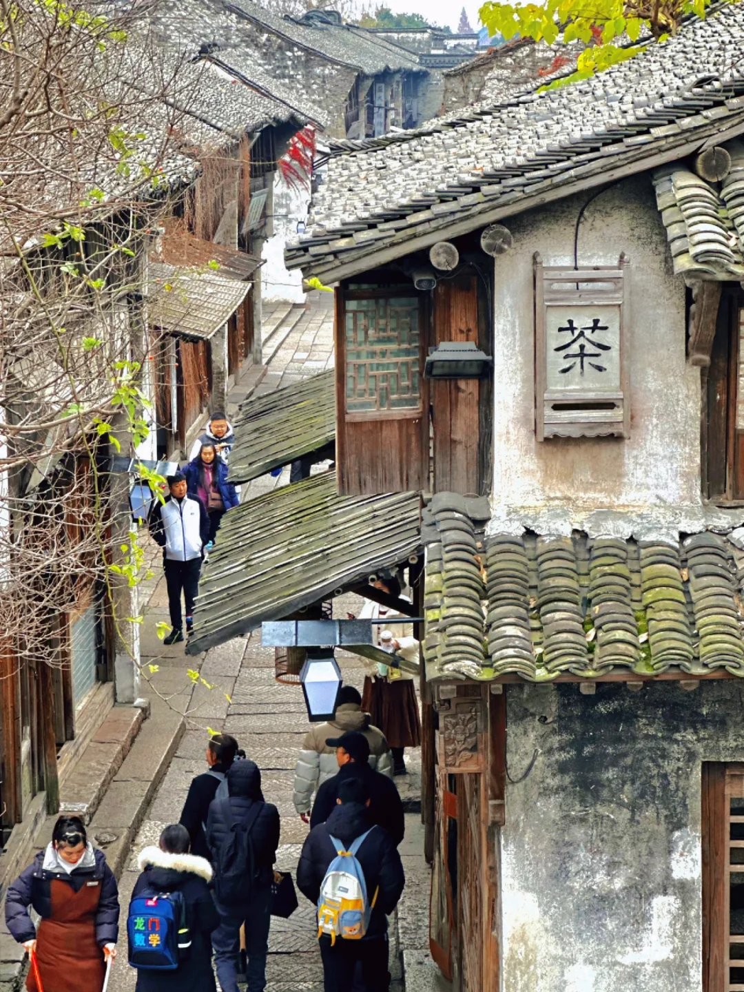 春节想去乌镇旅游存下吧😭懒人版游玩攻略～
