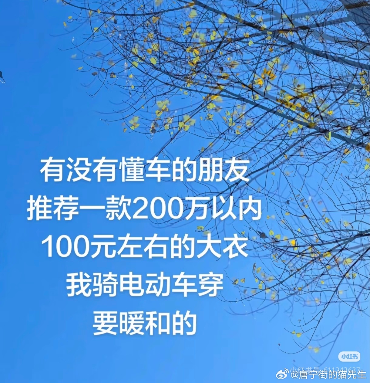 降温了有点冷 ​​​