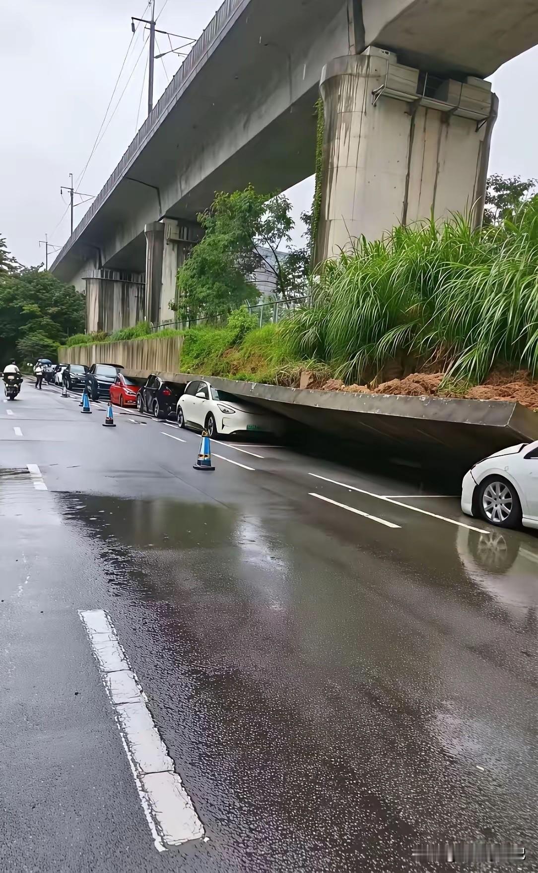 一般这种情况，保险公司会赔偿吗？