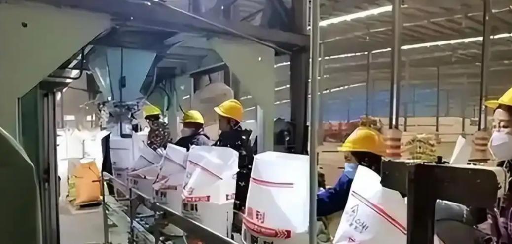 你见过最贵的白嫖长啥样？印度人告诉你：花 80 亿盖一座全球顶尖的化肥工厂，就为