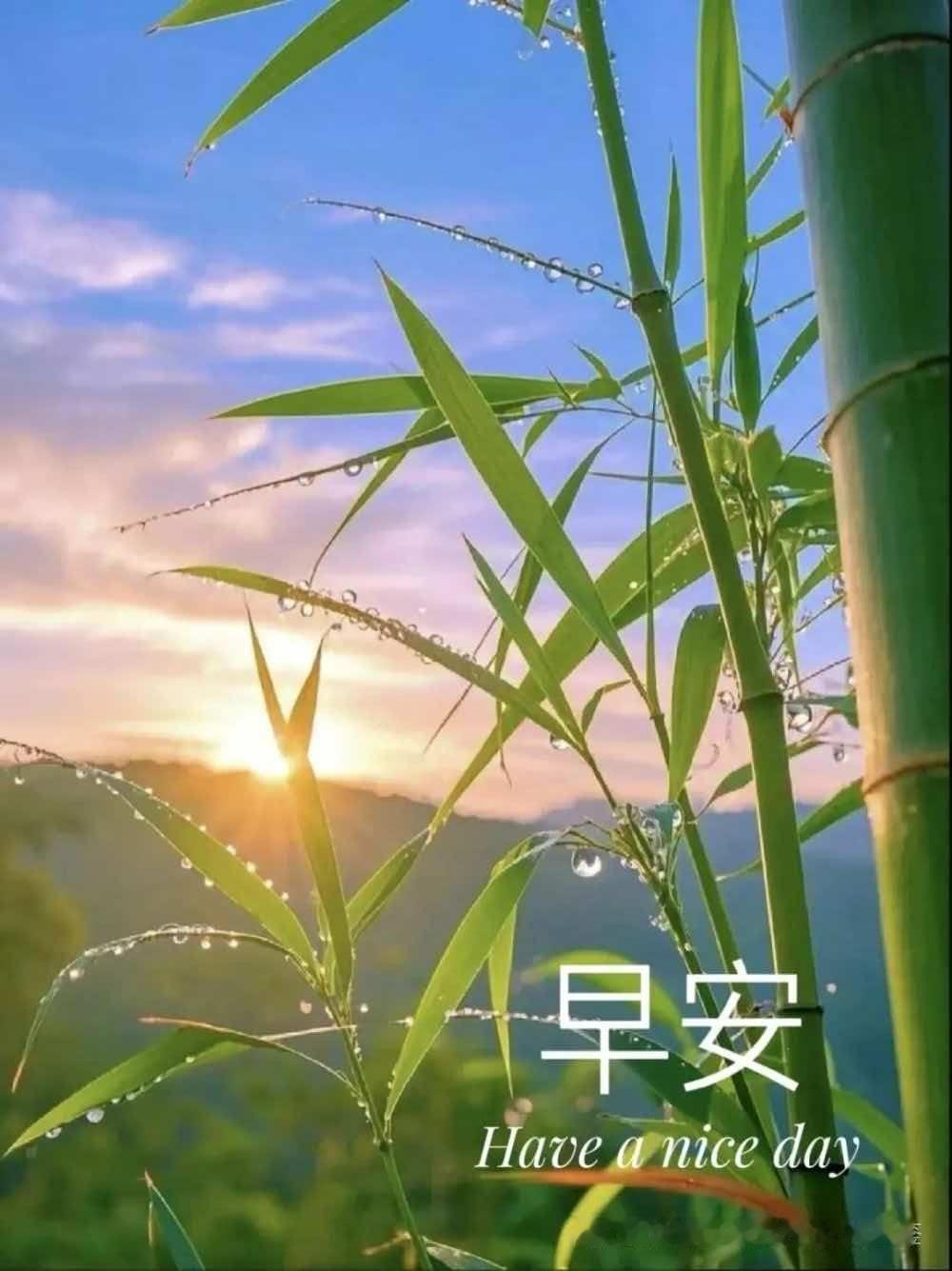 分享图片 ​​​