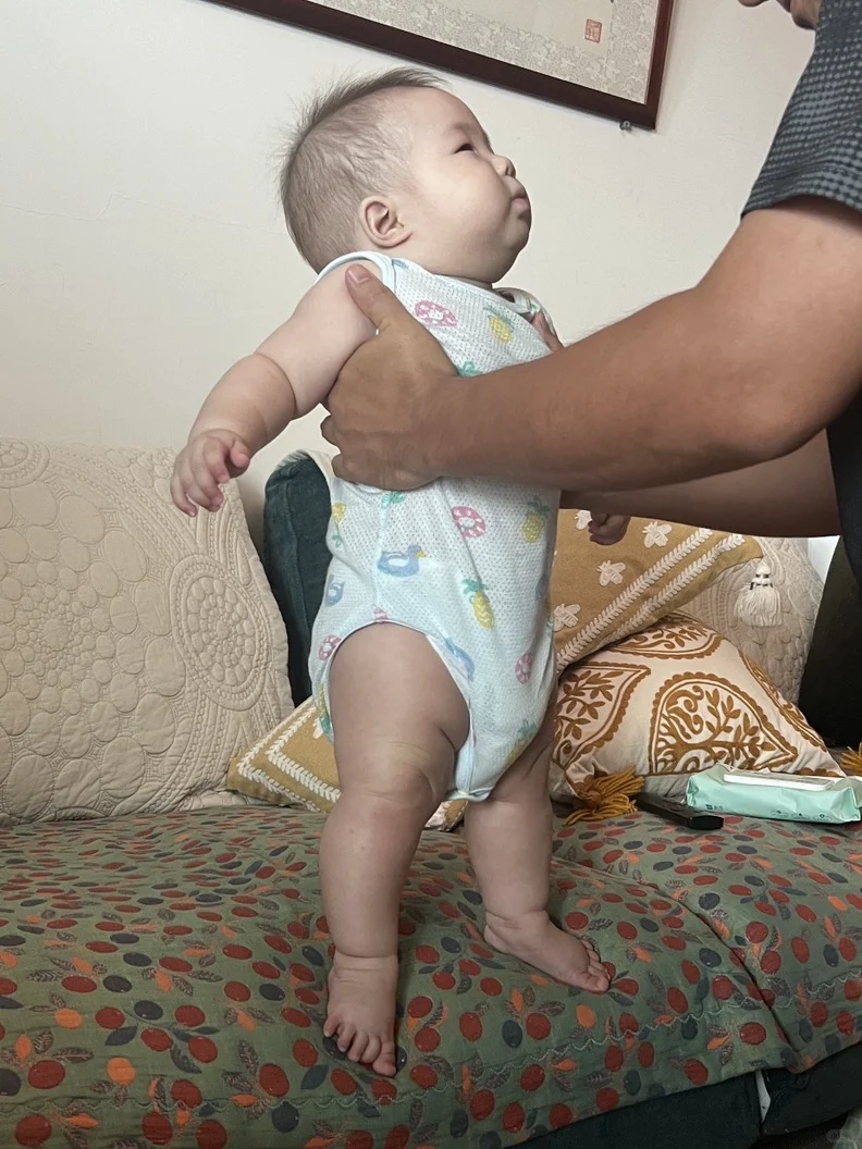 是一个倔强想站起来的六月龄宝宝👶