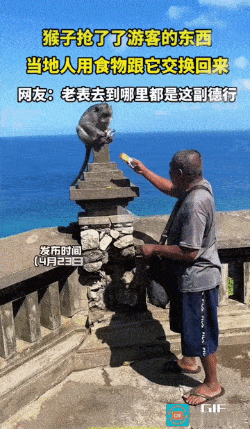 郭德纲：我怀疑他和它是不是一伙的？
 
海边景区这一幕，真的越看越不对劲！像极了