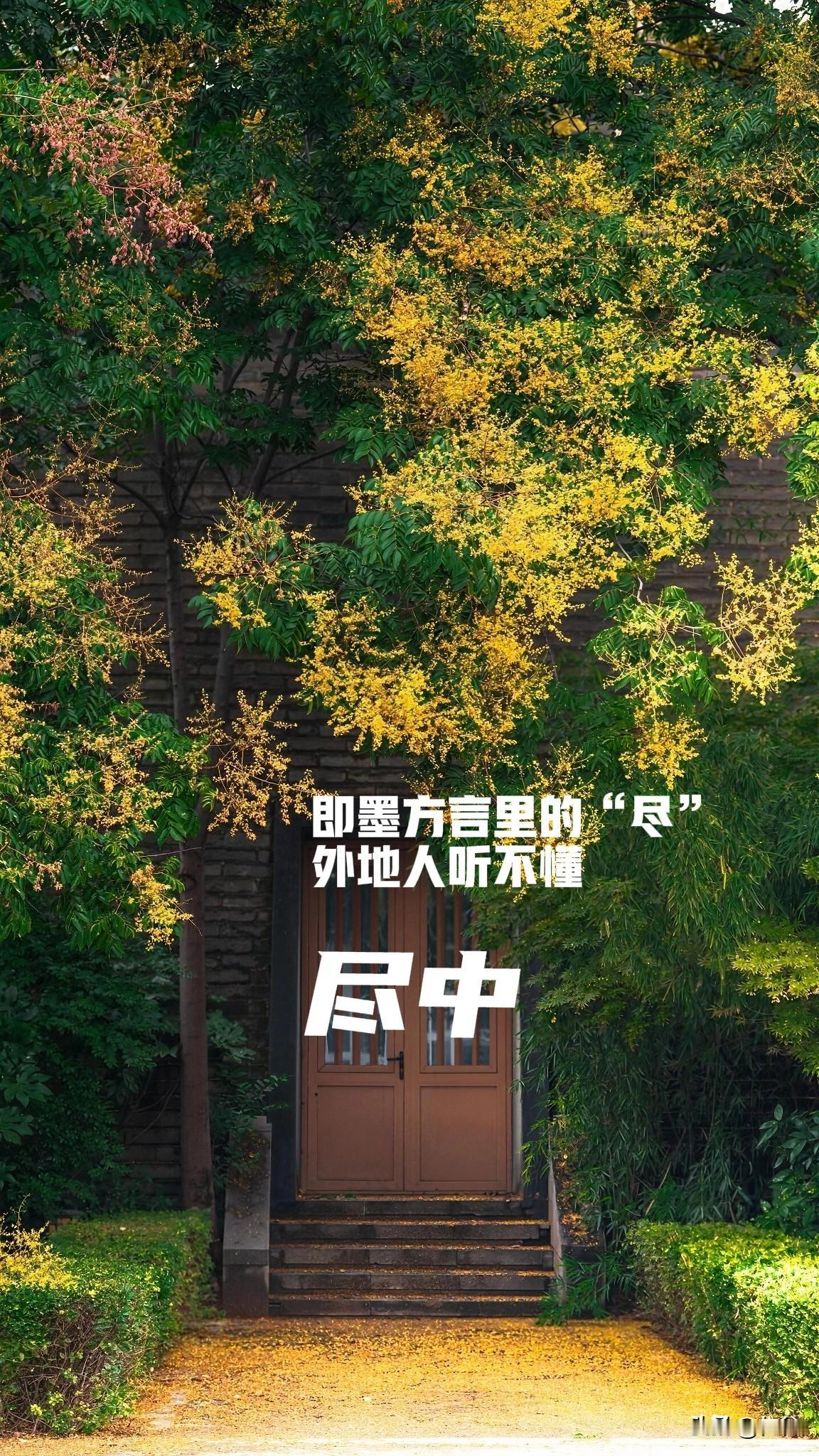 即墨方言里的“尽”，跟别的地方读音不同、意思不同…

尽，普通话有两个读音，一是