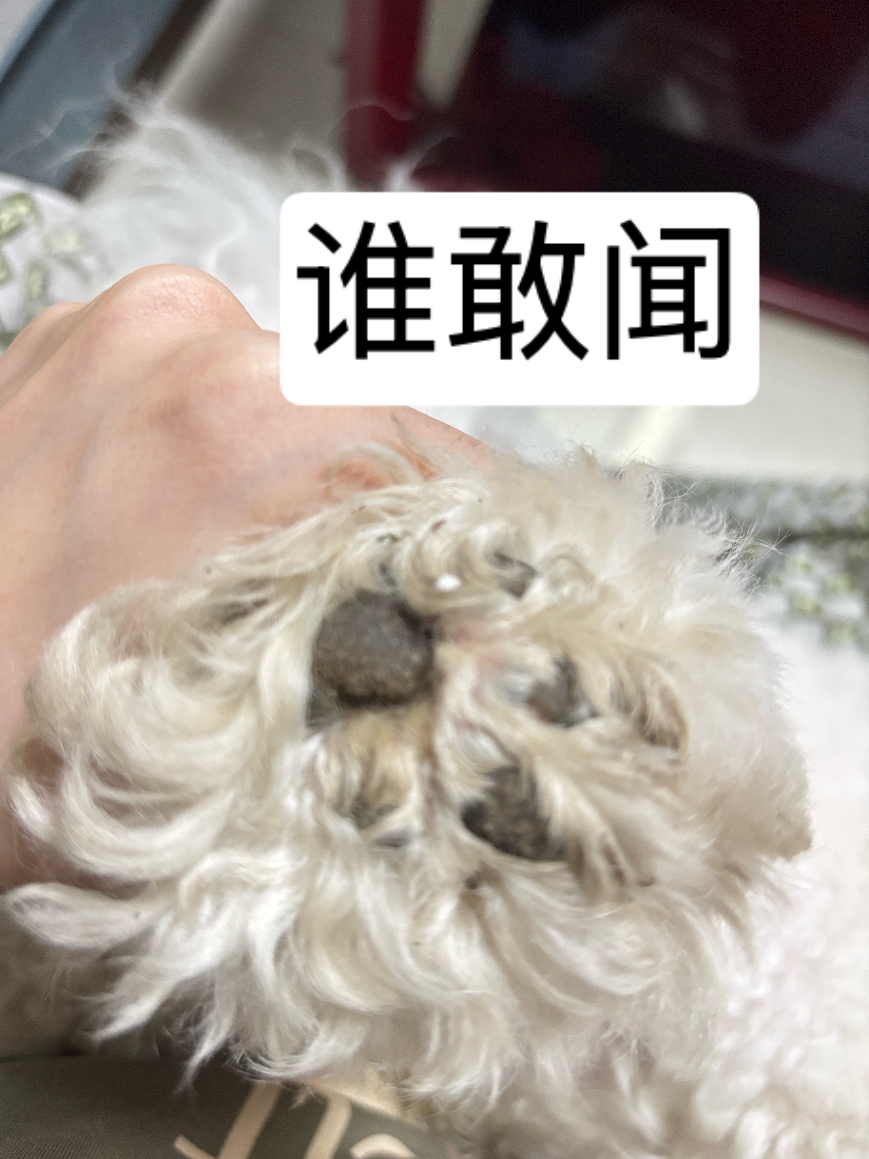 诡异的一个月 