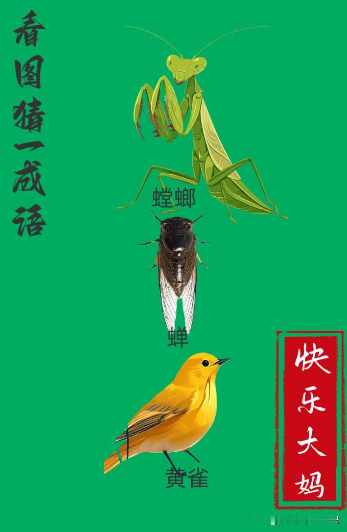 锻炼大脑，激活知识储备，发挥个人的聪明才智，我们共同努力，把传统汉语文化传承下去