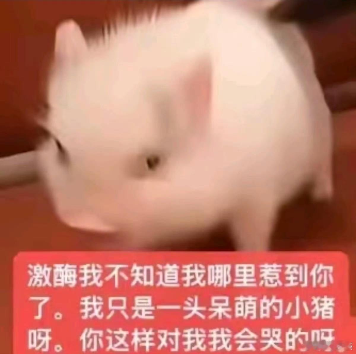 这里是美国皮下接管账号啦 ​​​