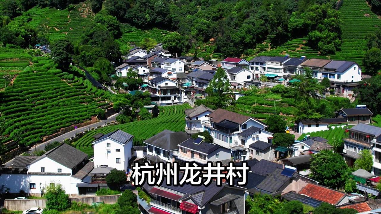 杭州龙井村凭什么是天下第一村？⛰️龙井村之所以被称为天下第一村，是因为这里的茶田