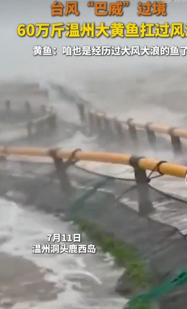今年第9号台风“巴威”可太猛了，在台州、温州沿海两次登陆，风力达13级，近海海面