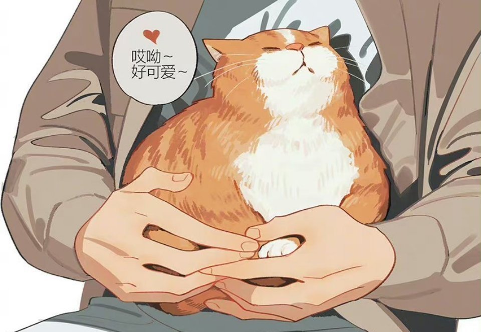 十九天[超话]19天贺天你在拍猫咪啊还是拍莫仔啊[doge]画师:old先 ​​