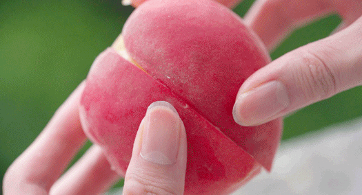 【桃子是一种善良的水果 】吃桃子对血糖很友好 桃子含糖量较低（10%左右），升糖
