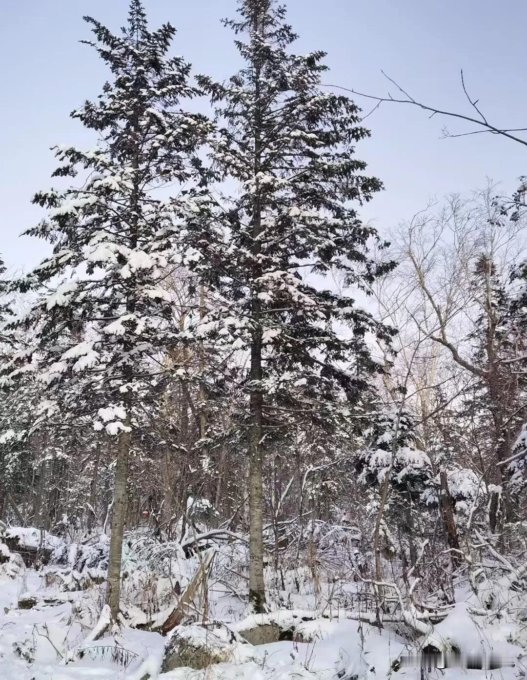 这两天广东终于有冬天的感觉了！不过是16度的天气，因为下着雨，感觉好像是在北方零