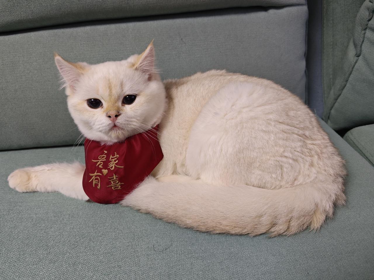 我新发布的内容被官方推荐啦！👍你也快来发布一条吧！带