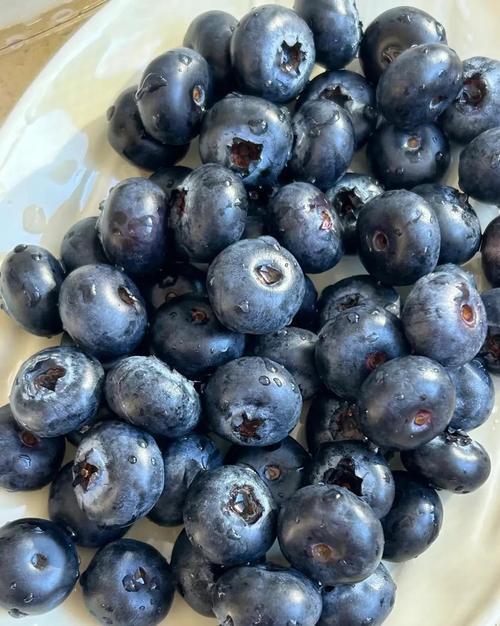 蓝莓怎么越来越便宜了