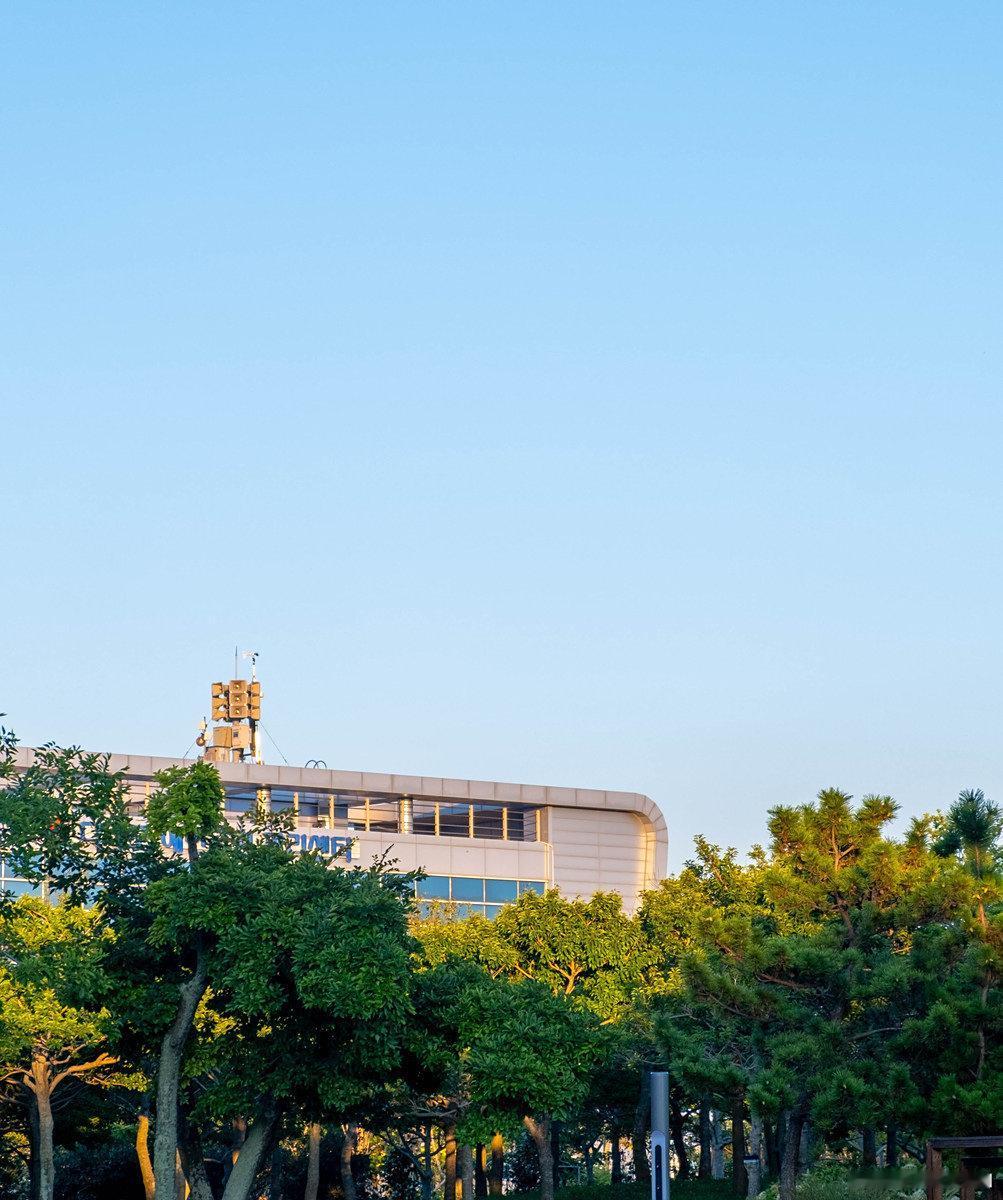 金陵大学和南京大学原来是不同的两所学校，院系调整金陵大学被撤销了，并入了南京大学