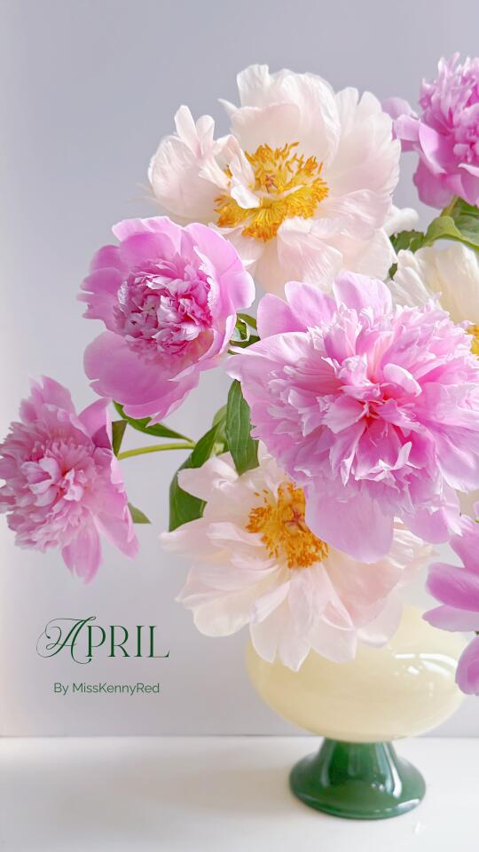 享受它的变奏曲｜落日珊瑚芍药