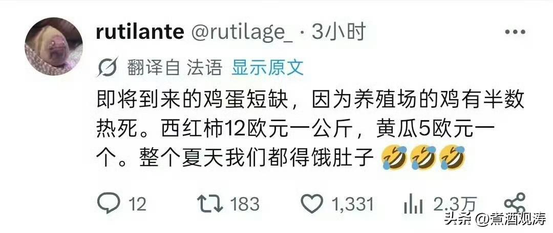 个别欧洲人开始未雨绸缪。