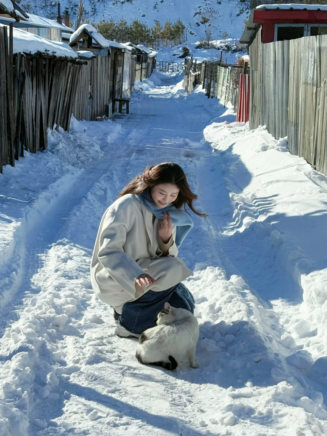 雪地里治愈纯净的画面🐈