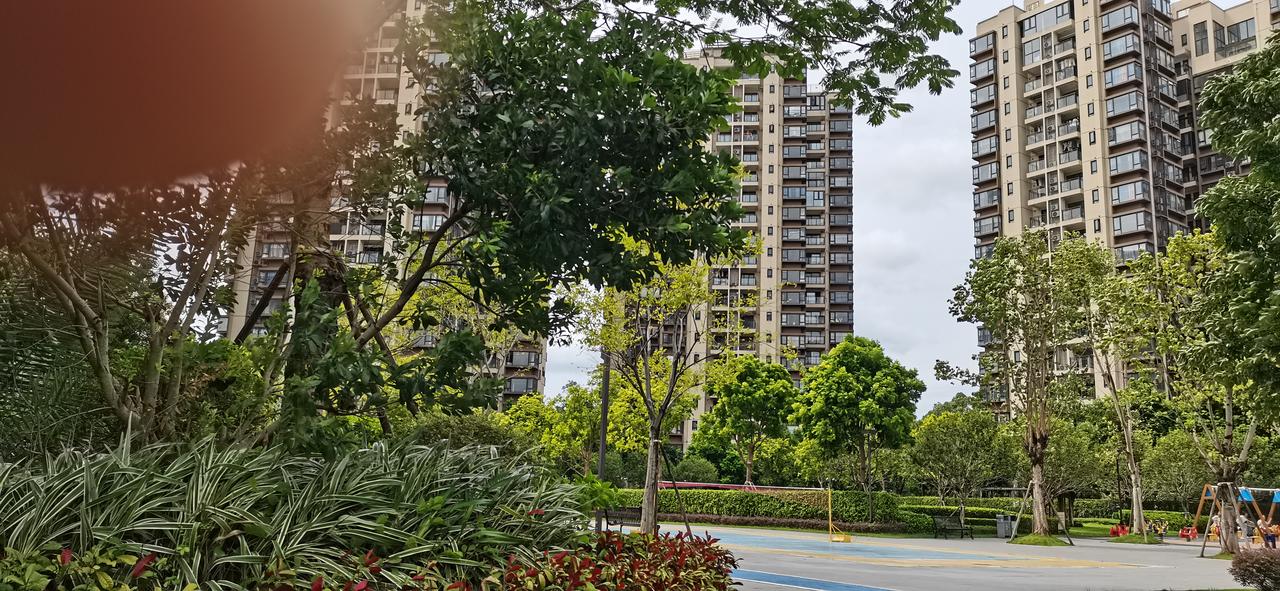 2006年开始炒股，一晃快20年了。总体而言，如今我对股市的兴趣与日俱减。
并非