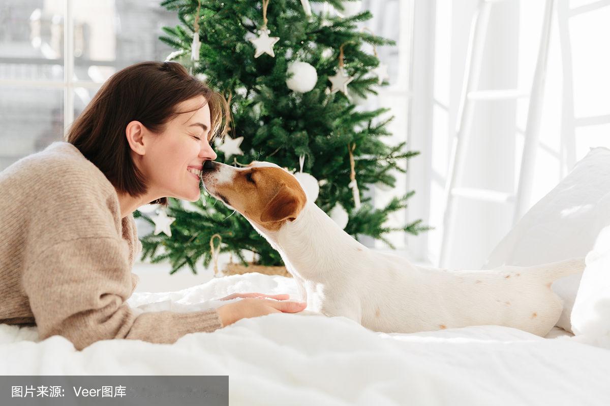 是谁让狗成为了贵族？
 
从网络上看到的一些镜头：
爬泰山，狗狗坐轿，人抬着，