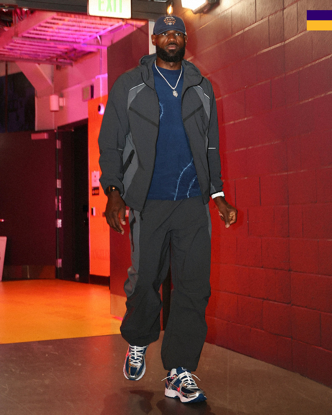 报告！有人抢镜头👀鹈鹕vs湖人 湖人国度